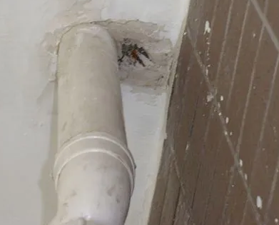 崇礼漏水检测哪家好